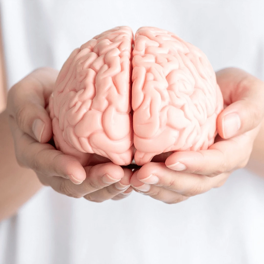 Specijalistički neurološki pregled | Poliklinika Mediclarus - Poliklinika Mediclarus